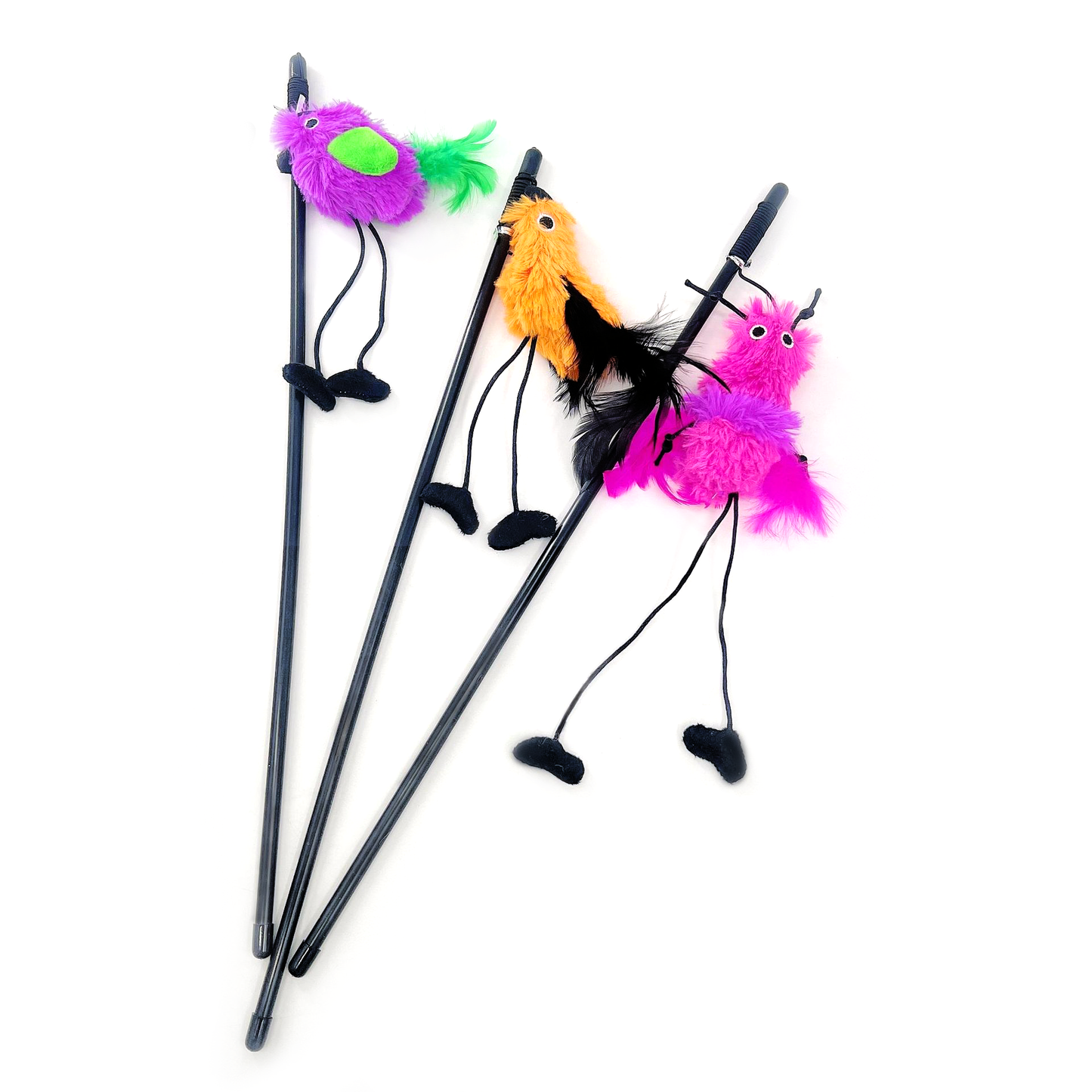 Pippin the Seaside Pelican