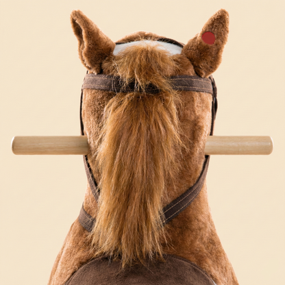 Bucky the Trail-Blazing Bronco